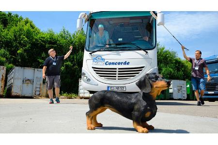 Technik Caravane Rallye