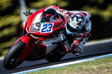 Schrötter vor Neustart: 