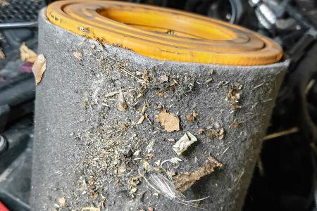 TechnikProfi_2021_13_03_2