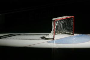Eishockey: Nur 19-mal stimmte das Vorrunden-Orakel