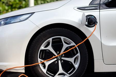 Die Elektroflotte wächst