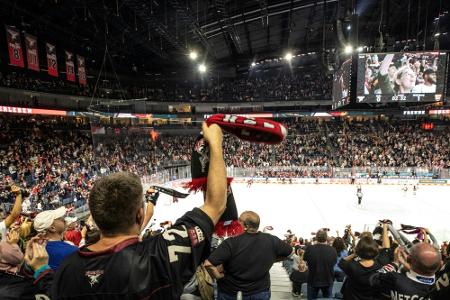 Konzert abgesagt: Haie könnten in eigener Halle spielen