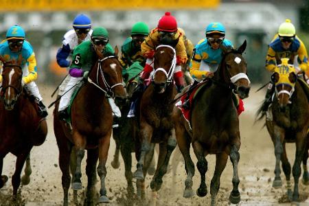 Jockey in Not: Pferd beißt Finger ab