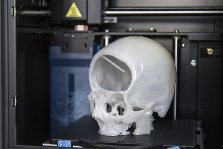 schädel 3d drucker