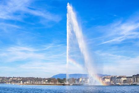 Wasserfontäne Jet d'eau