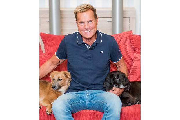Dieter Bohlen gibt bekanntlich auf sein Geld acht, darum belastet er sich nicht mit einer protzigen Villa, sondern ist glücklich in seiner Wohnung in Santa Ponsa.