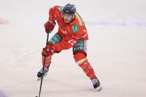 DEL: Iserlohn Roosters verpflichten Schiemenz