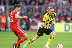 BVB ohne erkrankten Wolf