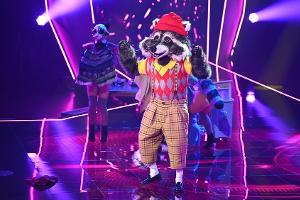 Dieser Star war der Waschbär bei "The Masked Singer"