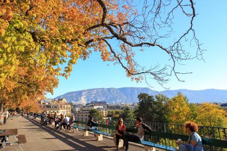 Promenade de la Treille