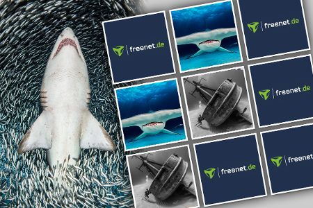 Spektakuläre Unterwasserfotos