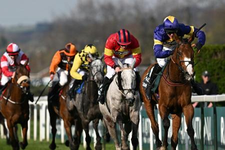 118 Festnahmen: Proteste beim Grand National in England