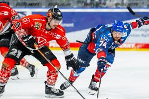 DEL: Adler holen Verteidiger Murray aus Wolfsburg