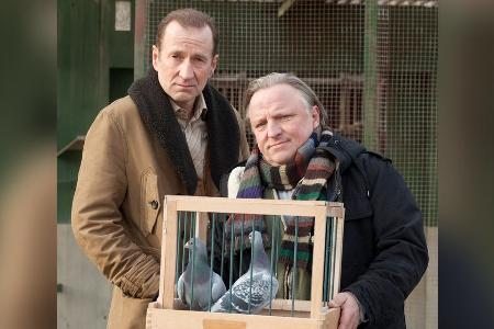 TV-Tipps am Mittwoch