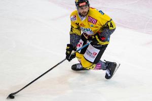 DEL: Finkelstein wechselt zu den Eisbären