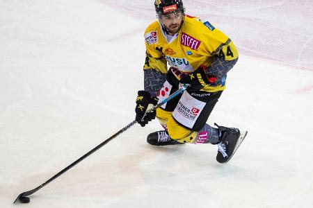 DEL: Finkelstein wechselt zu den Eisbären