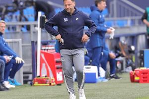 Dardai vor Bayern: "Einen Punkt zusammenkratzen"