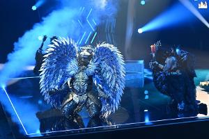 Der Schuhschnabel gewinnt "The Masked Singer"