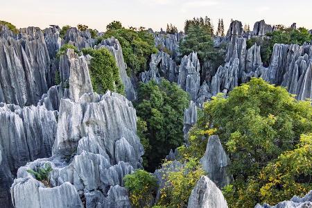 Shilin: Das steckt hinter dem 