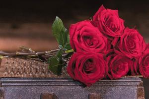 Kommt ein "Bachelor"-Spin-off für Senioren auch nach Deutschland?