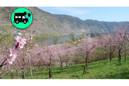 Mosel Alternative Stellplätze