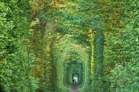 Tunnel der Liebe (Ukraine)