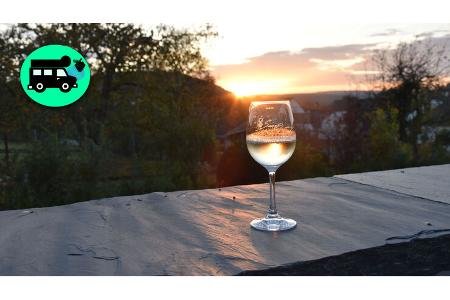 Stellplatz Mosel Weingut
