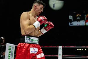 Boxen: Ex-Weltmeister Krasniqi kämpft im Kosovo