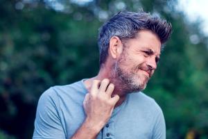 Die Mücken sind los: Diese Gerüche locken die Plagegeister an