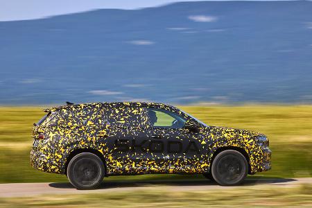 Covered Skoda Kodiaq