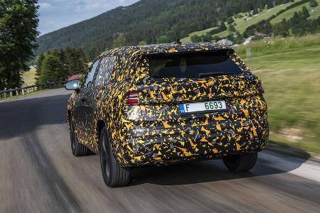 Covered Skoda Kodiaq