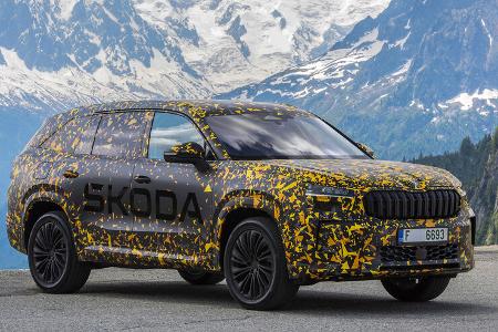 Covered Skoda Kodiaq