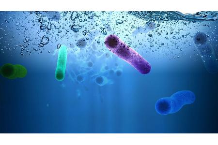 Wassertank reinigen Bakterien
