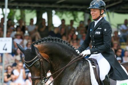 Nach Absage für CHIO: Haarriss bei Klimkes Franziskus