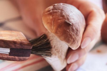 Nur mit dem Bürstchen?