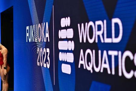 Schwimm-WM: Müller und Wesemann im 1-m-Finale