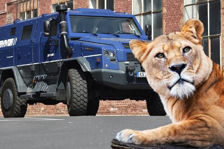 Rheinmetall Survivor Löwe Berlin Collage