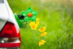 Was ist Klimadiesel?