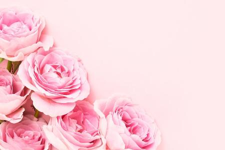 Rosenblütenöl: Die Beauty-Geheimwaffe für strahlende Haut