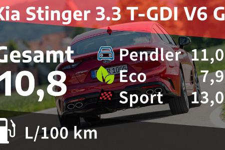 Kia Stinger 3.3 T-GDI V6 GT Realverbrauch