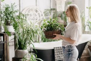 Urlaub geplant? So überleben Pflanzen die Zeit ohne tägliche Pflege