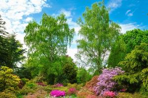 Gärtnern im Klimawandel: "Der klassische Rasen hat keine Zukunft"