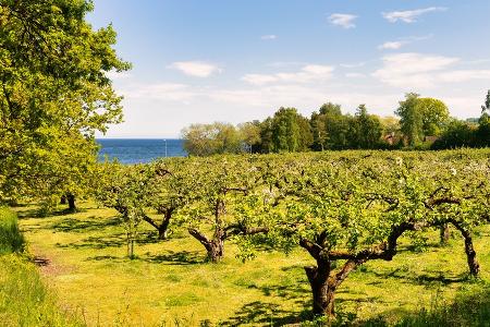 Mit dem Camper durch Südschweden: Die schönsten Stopps