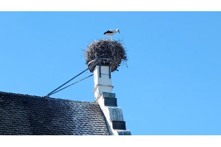 Oberschwäbischen Barockstraße - Illertissen