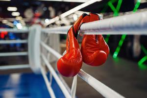 Boxen: DBV neues Mitglied bei World Boxing