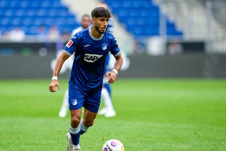 Hoffenheims Damar per Leihe nach Hannover