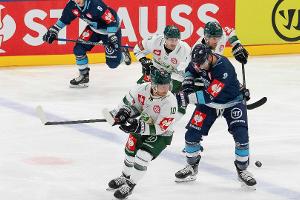 CHL: Vizemeister Ingolstadt auch gegen Karlstad erfolgreich