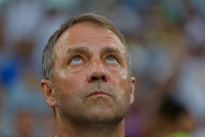 WM-Doku: Graugänse sollten DFB-Stars motivieren