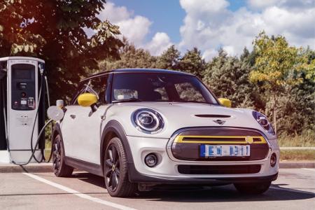 Zuwachs bei Mini