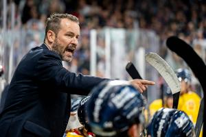 Haie verlieren 240. Rheinderby - erste Punkte für die DEG